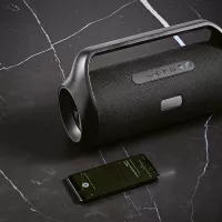 Newton Speaker