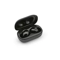 Pasteur Earbuds 