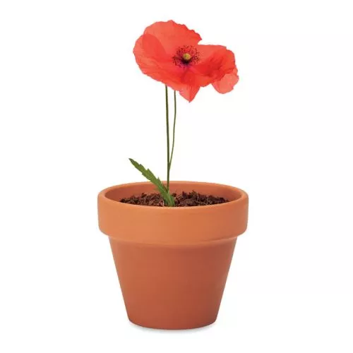 RED POPPY Terrakotta ültető, pipacs