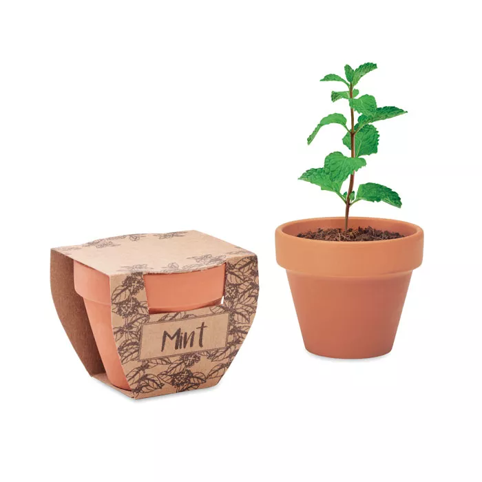 MINT-POT-Terrakotta-ulteto-menta-barna__653200