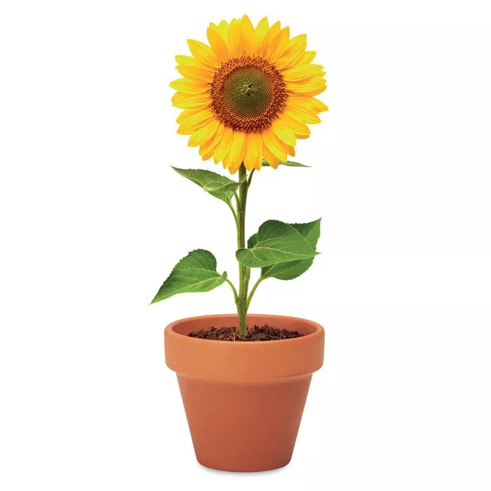 SUNFLOWER-Terrakotta-ulteto-napraforgo-barna__624584