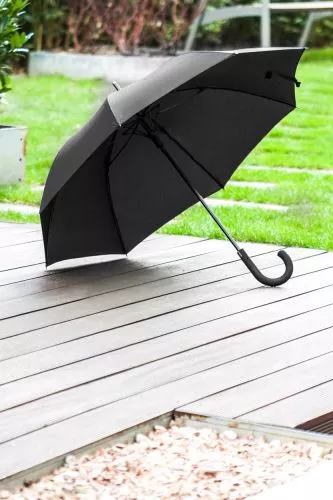 Mousson esernyő