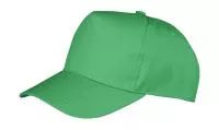 Boston 5-Panel Printers Cap Apple Green