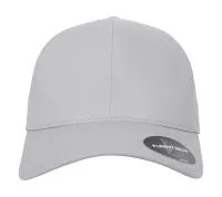 Flexfit Delta Adjustable Cap Silver