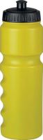 SPORTS BOTTLE 500 ML Burnt Lime