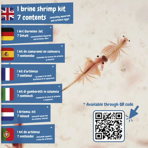 Jurassic Pets Kit I. Oktatási játék gyerekeknek Vegyes színek 