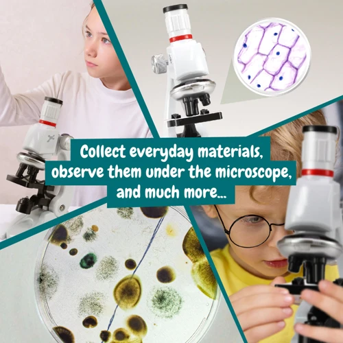 MICROSCOPE. Oktatási játék gyerekekne Vegyes színek 