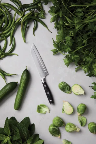 VINGA Kaiser Santoku kés Szürke 