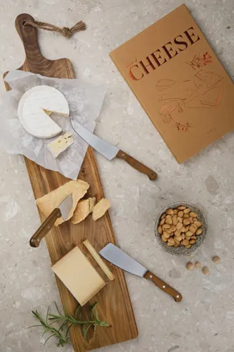 VINGA Story of cheese Barna 