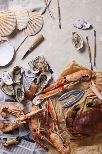 VINGA Story of seafood készlet Szürke 