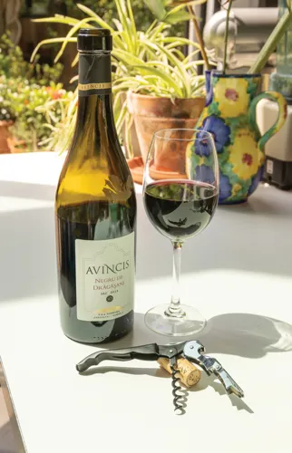 Vino pincérbicska Fekete 