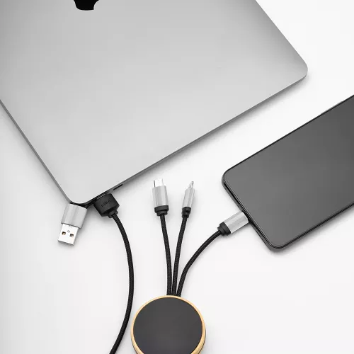 Feynman Cable Fekete 