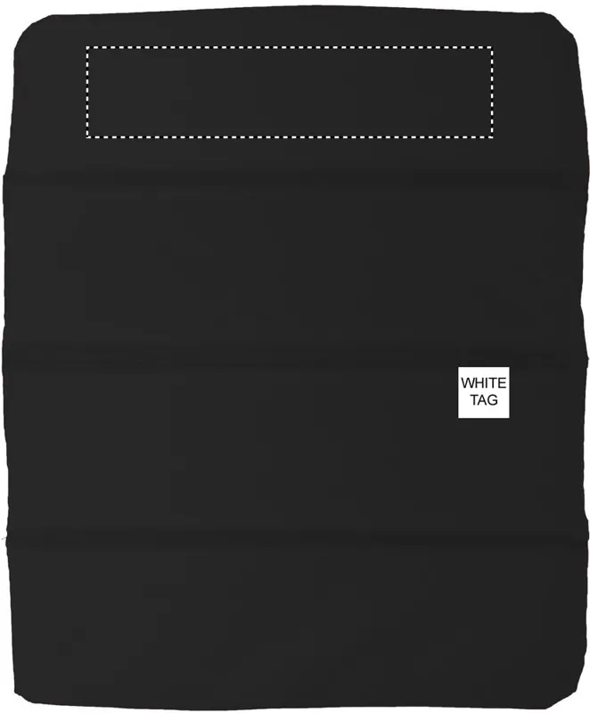 BACK SEGMENT