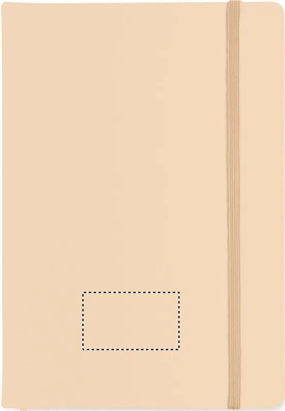 FRONT PAD