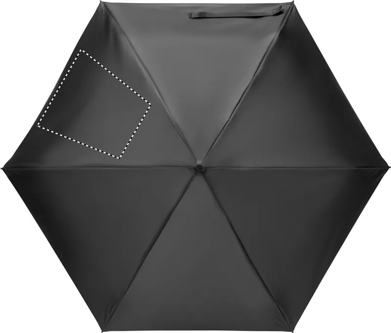 SEGMENT 2