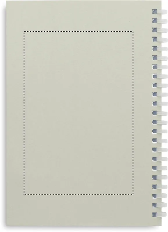 BACK SCREEN