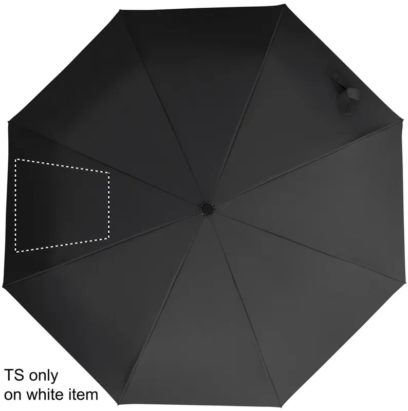 SEGMENT 2