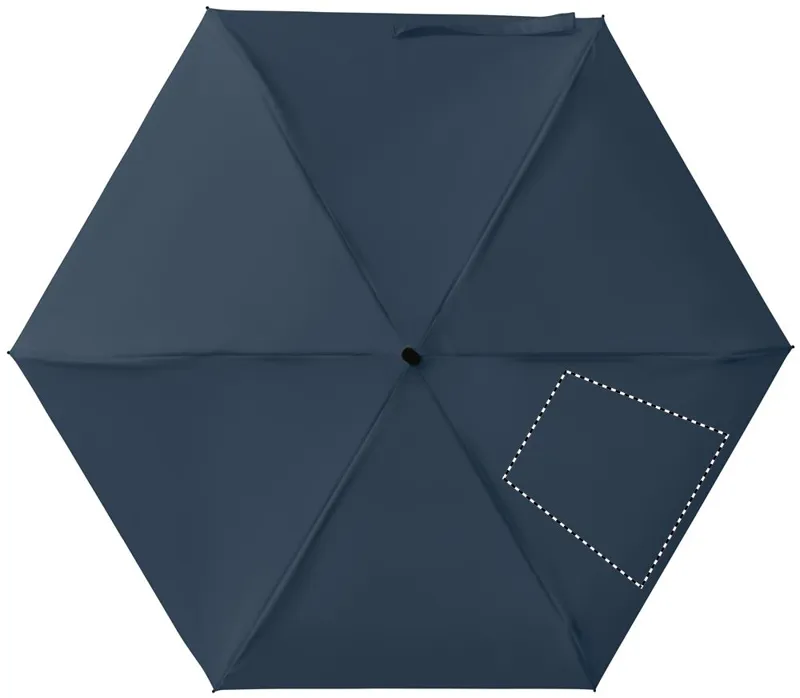 SEGMENT 4