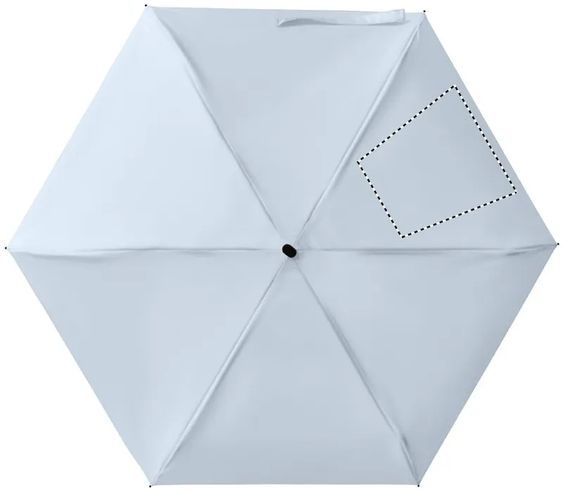 SEGMENT 3