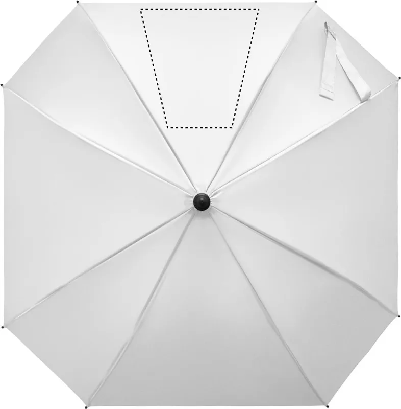 SEGMENT 3