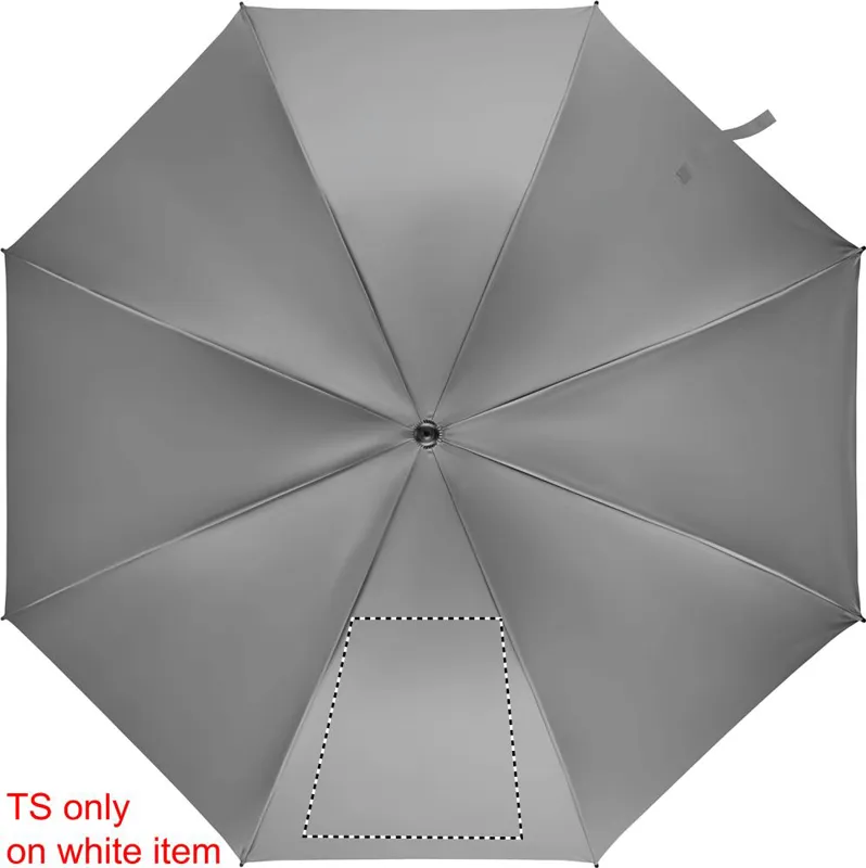 SEGMENT 1