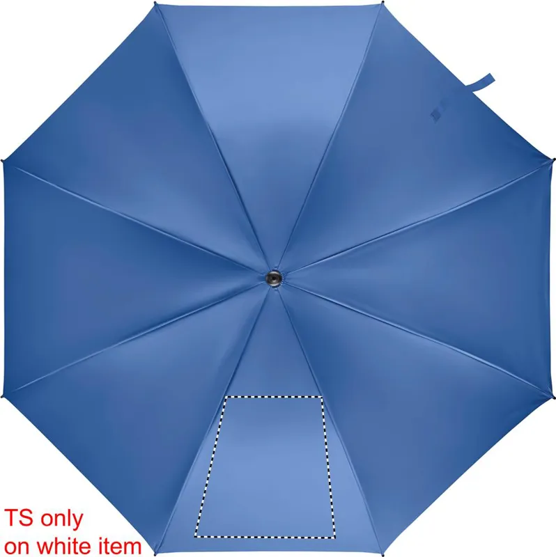 SEGMENT 1