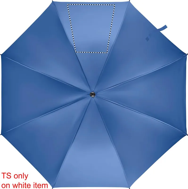 SEGMENT 3