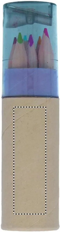 CARTON BACK