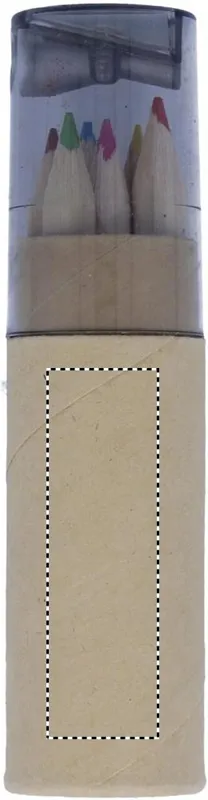 CARTON BACK