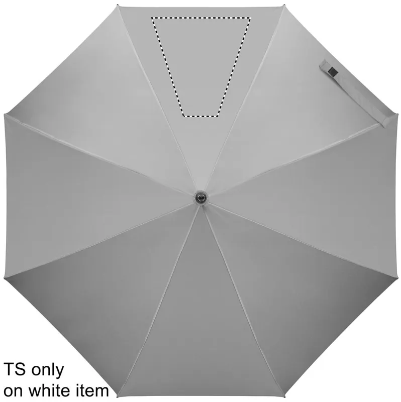 SEGMENT 3