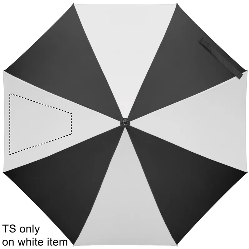 SEGMENT 2