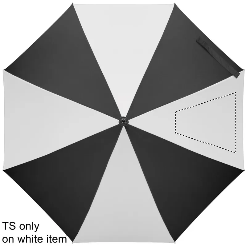 SEGMENT 4