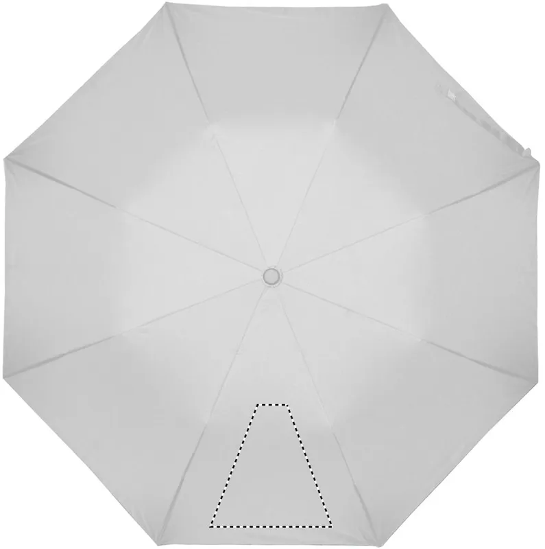 SEGMENT1