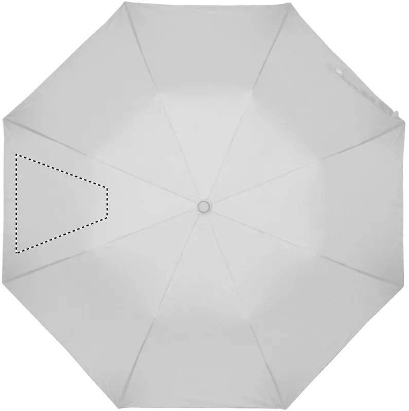 SEGMENT2