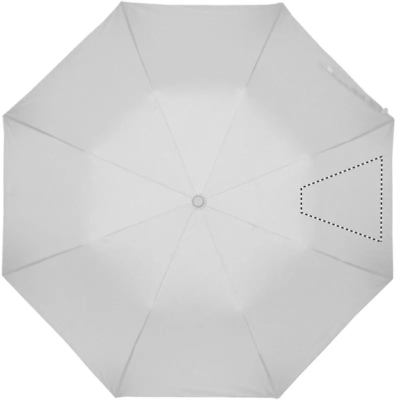 SEGMENT4
