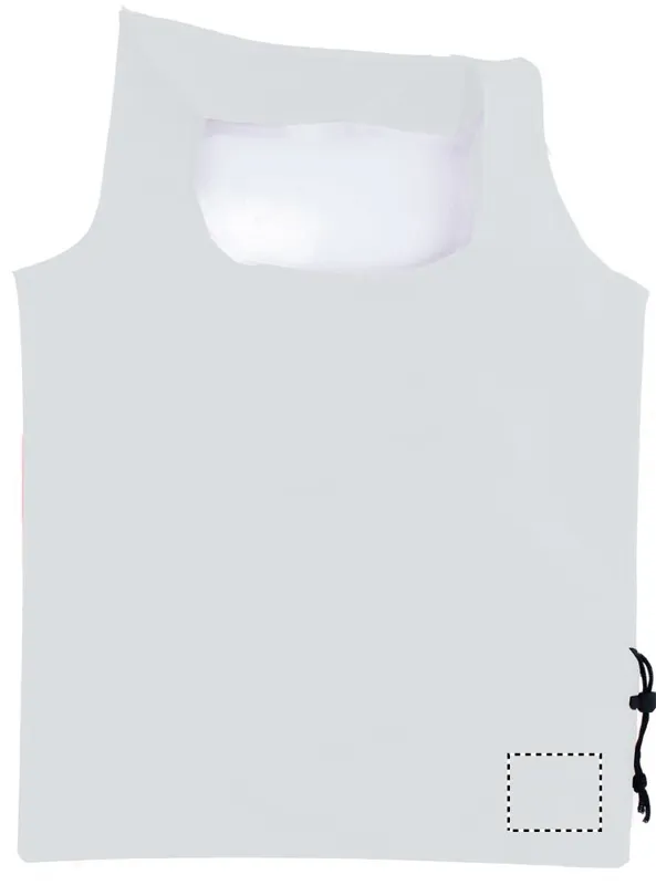 SMALL BAG TRANSFER