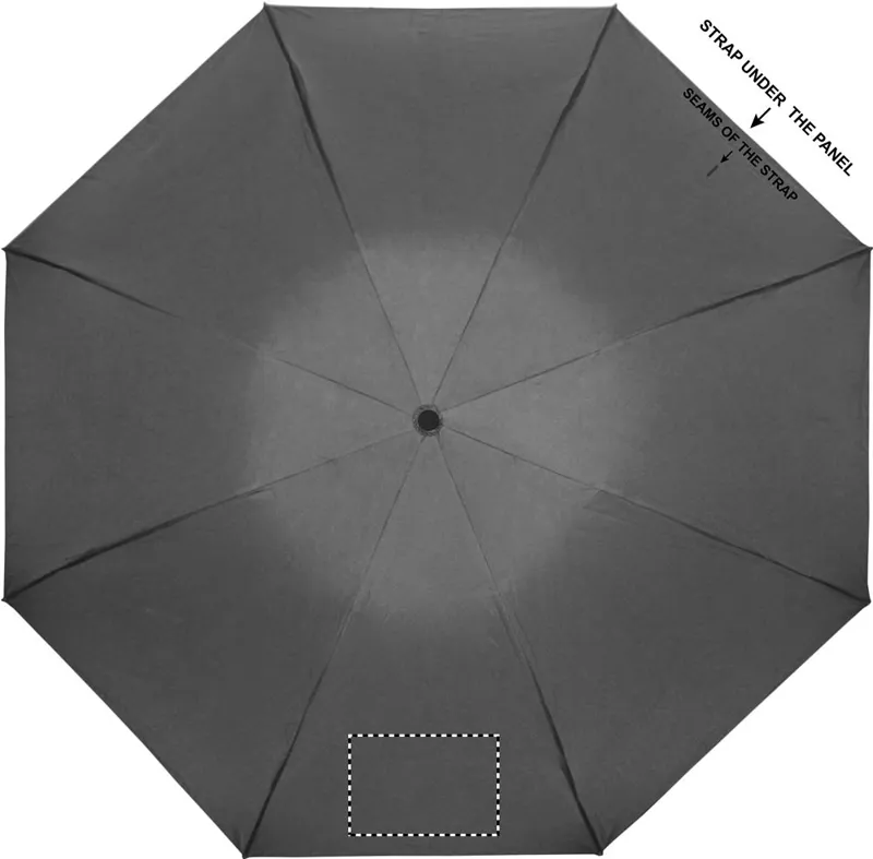 PANEL 1