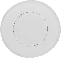 FRISBEE