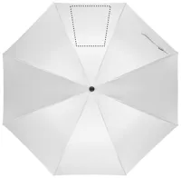 SEGMENT 3