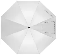 SEGMENT 4