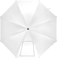 SEGMENT 1