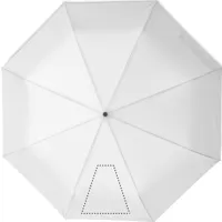 SEGMENT 1