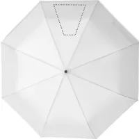 SEGMENT 3