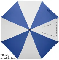 SEGMENT 4
