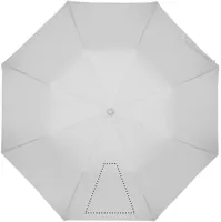 SEGMENT1