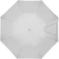 SEGMENT4