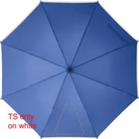 SEGMENT1