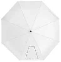 SEG 1