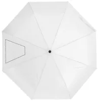 SEG 2