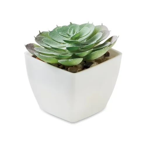 ARTIECHE Mini műnövény, echeveria Fehér 